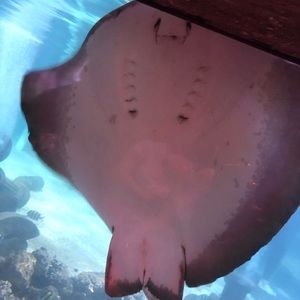 Meet your Posher, Karina